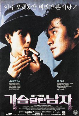 星光落进旧巷子 高清电视剧在线观看